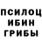 Галлюциногенные грибы Psilocybe Matthew Kellermann