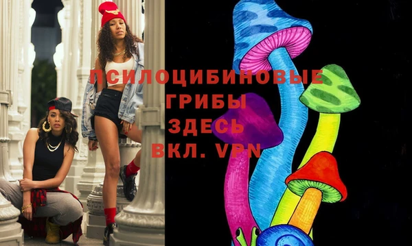 гашик Абаза