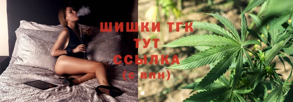 гашик Абаза