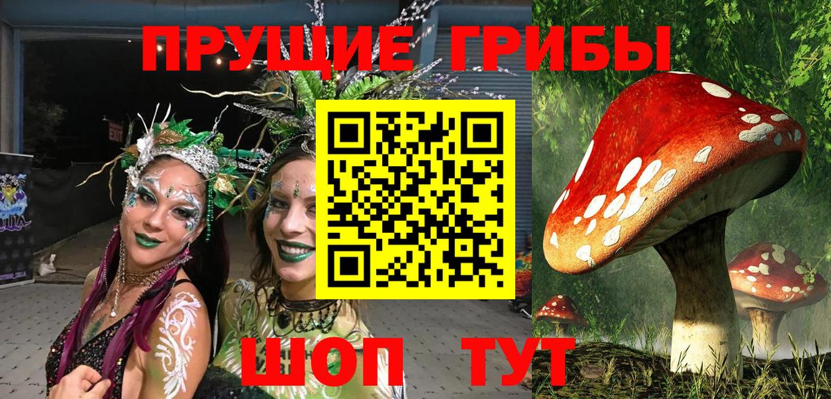 Псилоцибиновые грибы ЛСД Троицк