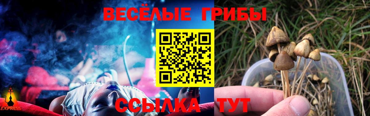 Троицк  Галлюциногенные грибы мухоморы  Вход с VPN 